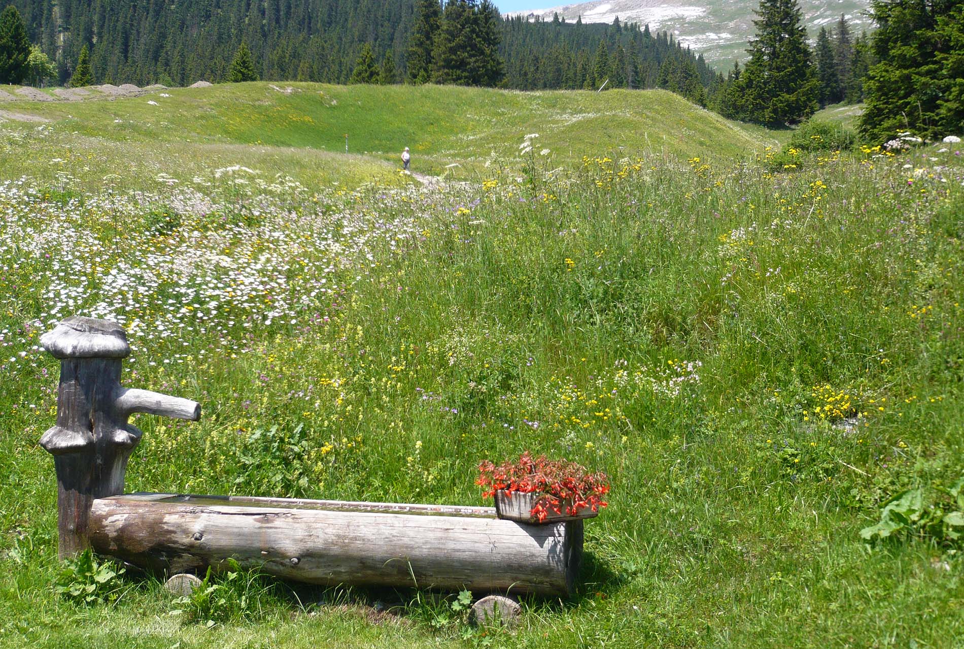 GRANDIS Laax - AGB